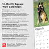image Belgian Malinois 2024 Wall Calendar Fourth  Alternate Image width=&quot;1000&quot; height=&quot;1000&quot;
