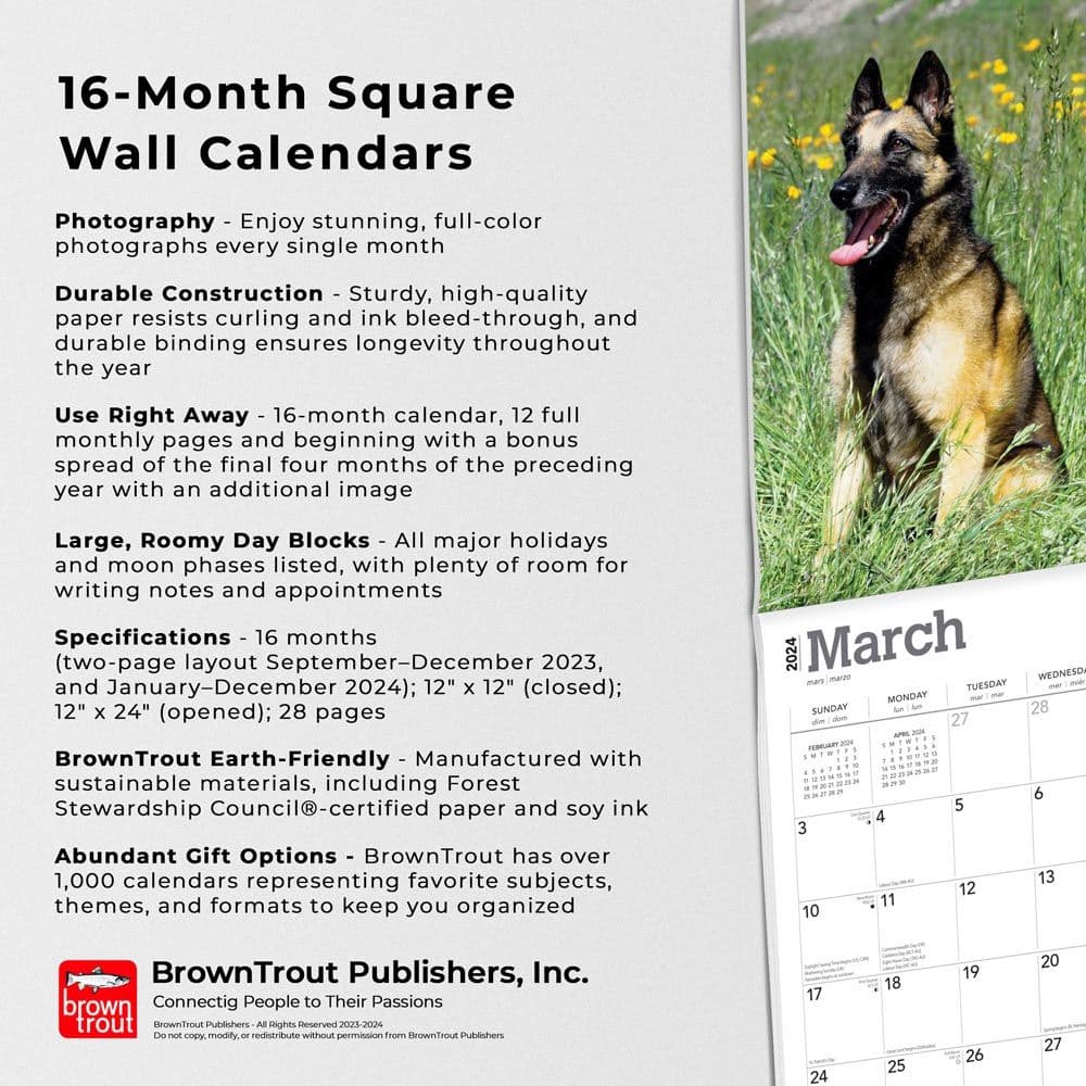 Belgian Malinois 2024 Wall Calendar Fourth  Alternate Image width=&quot;1000&quot; height=&quot;1000&quot;