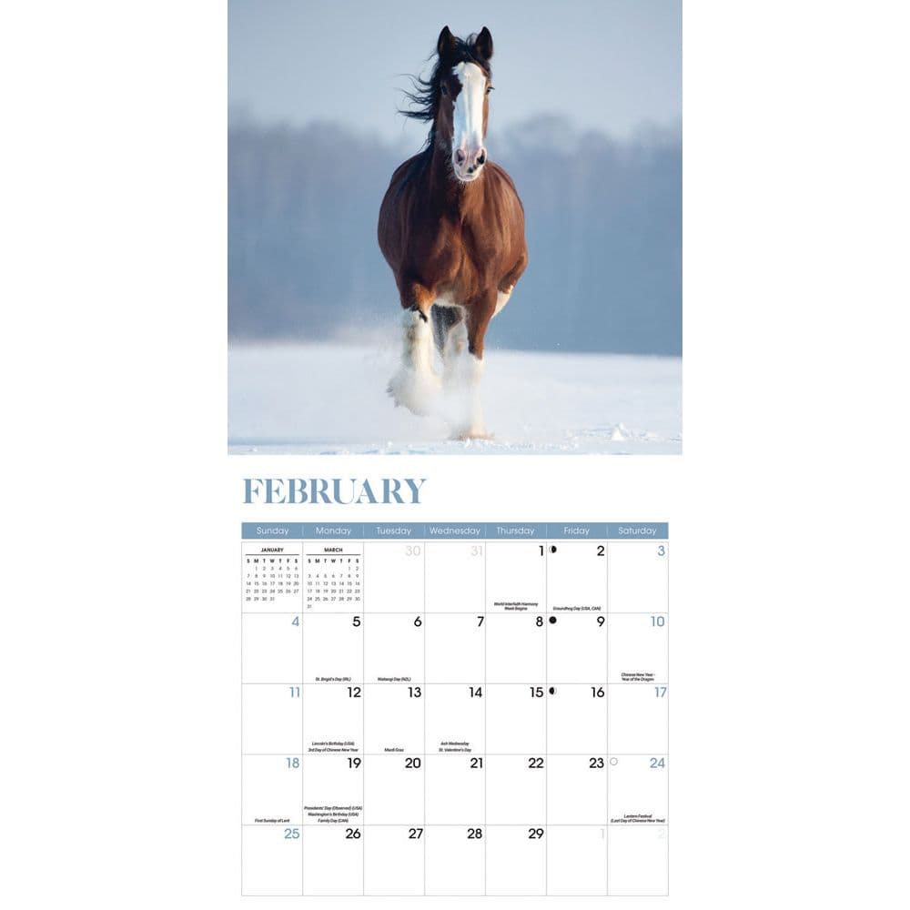 Horses 2024 Wall Calendar