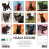 image Black Kitties 2025 Wall Calendar First Alternate Image width="1000" height="1000"