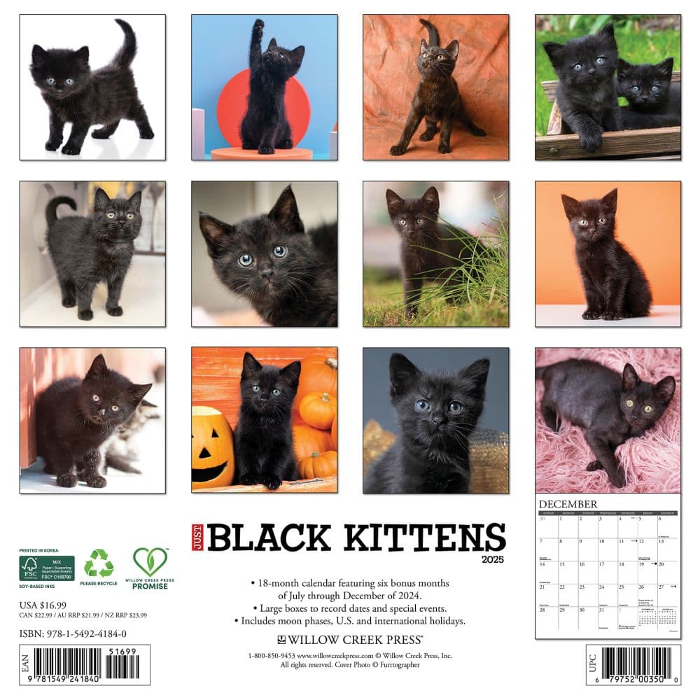 Black Kitties 2025 Wall Calendar First Alternate Image width="1000" height="1000"