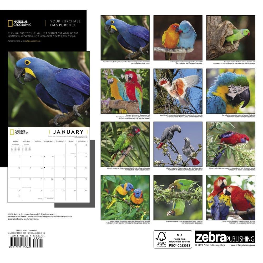 Parrots National Geographic Wall Calendar