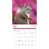 image Squirrels 2026 Wall Calendar Third Alternate Image