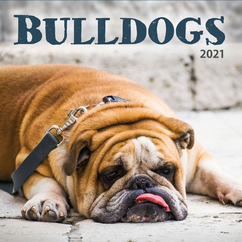 Bulldogs 2022 Calendar Dog Calendars com