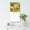 image Dachshunds 2026 Wall Calendar Third Alternate Image