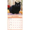 image Black Cats 2026 Wall Calendar Fourth Alternate Image