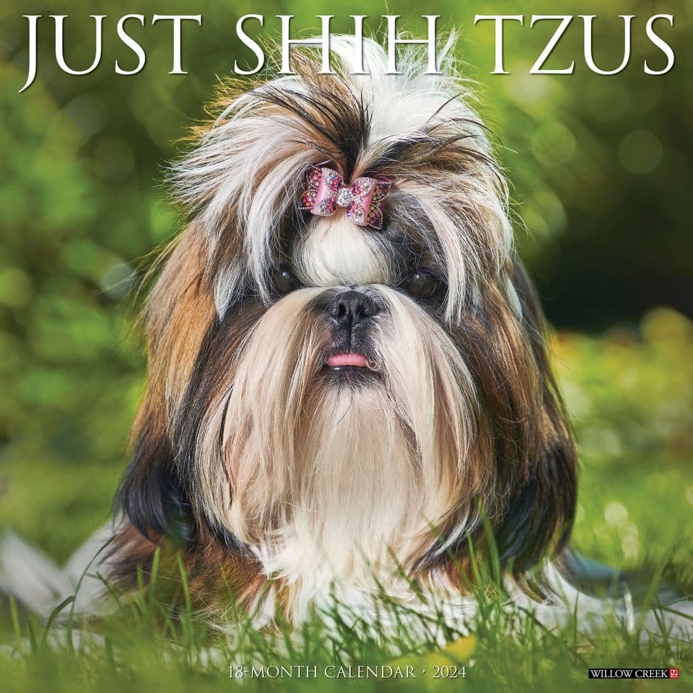 Just Shih Tzus 2024 Wall Calendar