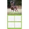 image White Tailed Deer 2024 Wall Calendar Bonus Grid View