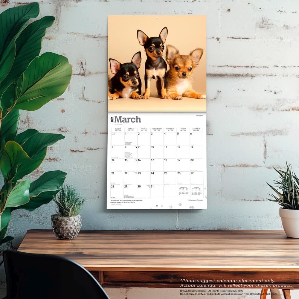 Chihuahua Puppies 2027 Wall Calendar Fourth Alternate Image