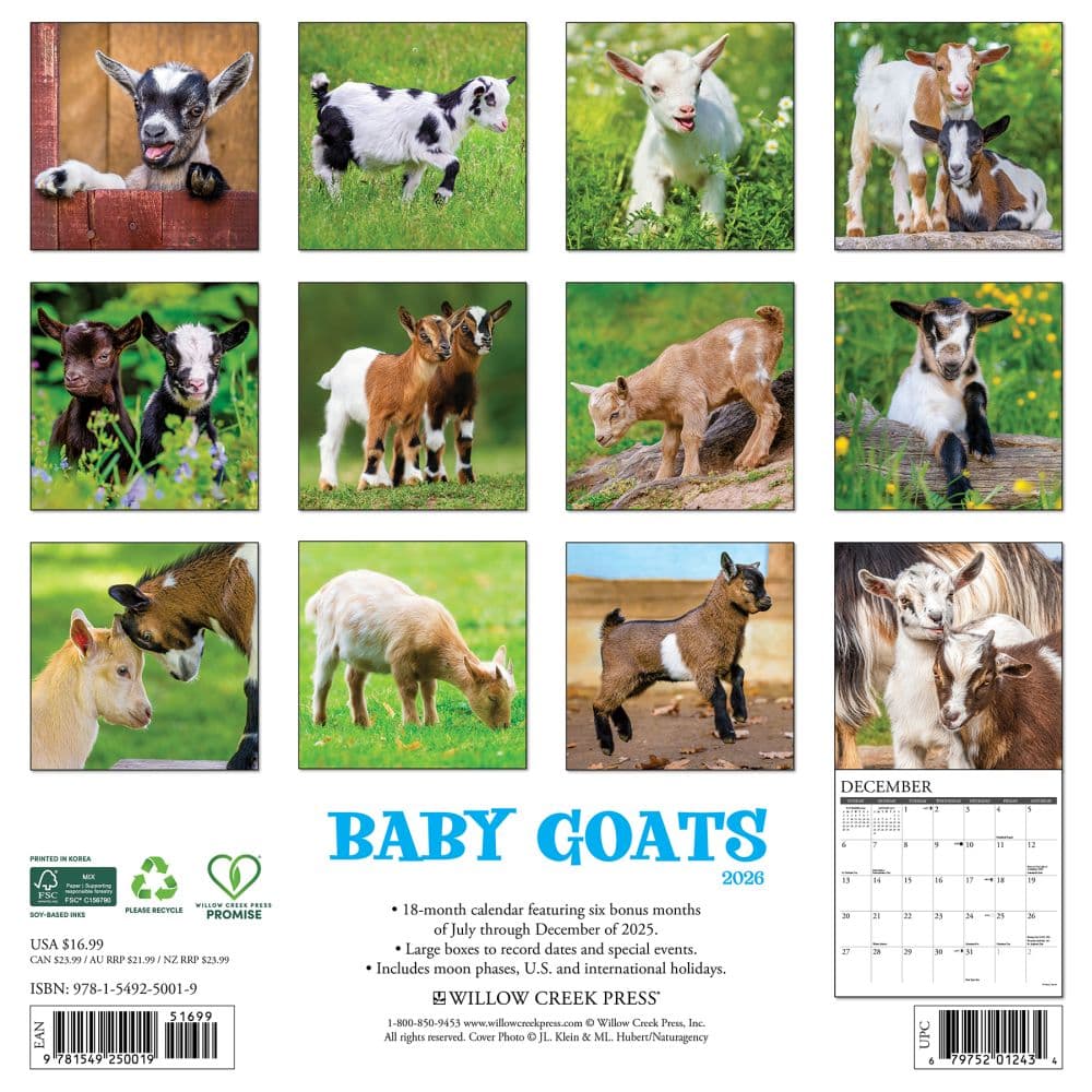 Baby Goats 2026 Wall Calendar First Alternate Image