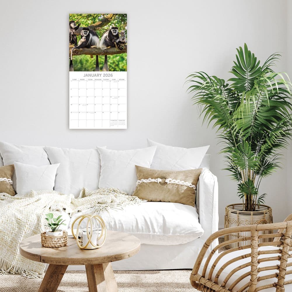 Monkey Business 2026 Wall Calendar Second Alternate Image