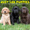 image Just Lab Puppies 2024 Wall Calendar Main Image