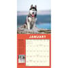 image How to Speak Dog 2025 Wall Calendar Second Alternate Image