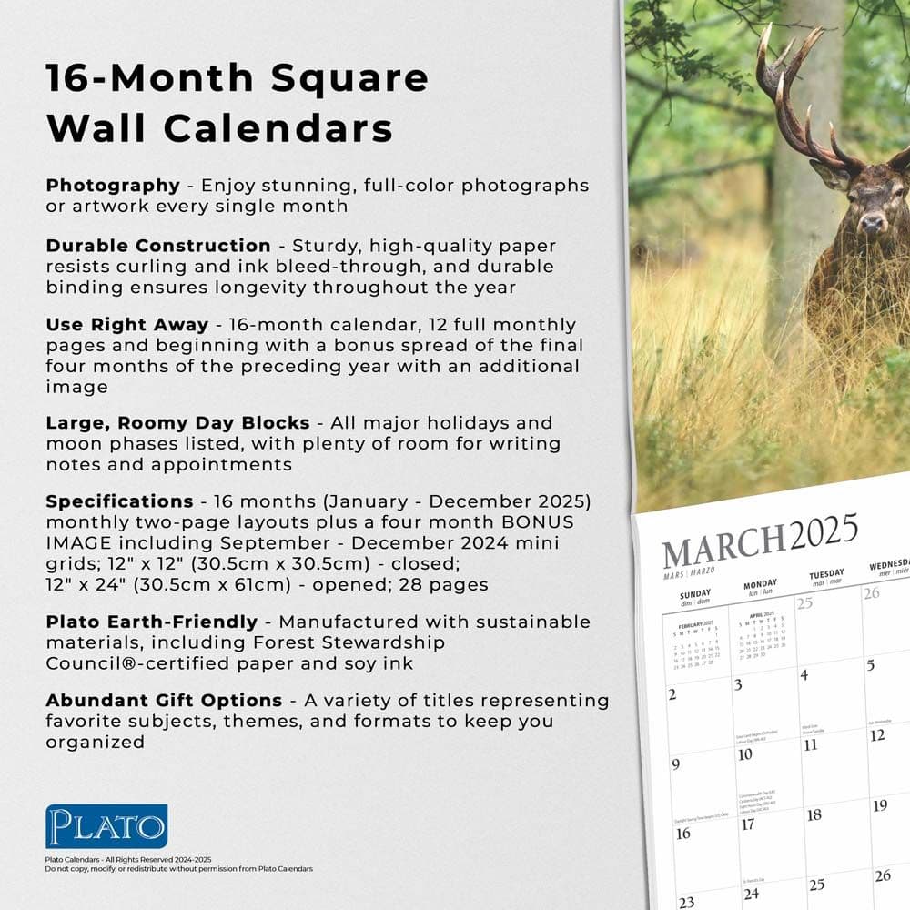 Monster Bucks Plato 2025 Wall Calendar Fifth Alternate Image