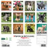 image Just French Bulldog Puppies 2025 Wall Calendar First Alternate Image width="1000" height="1000"