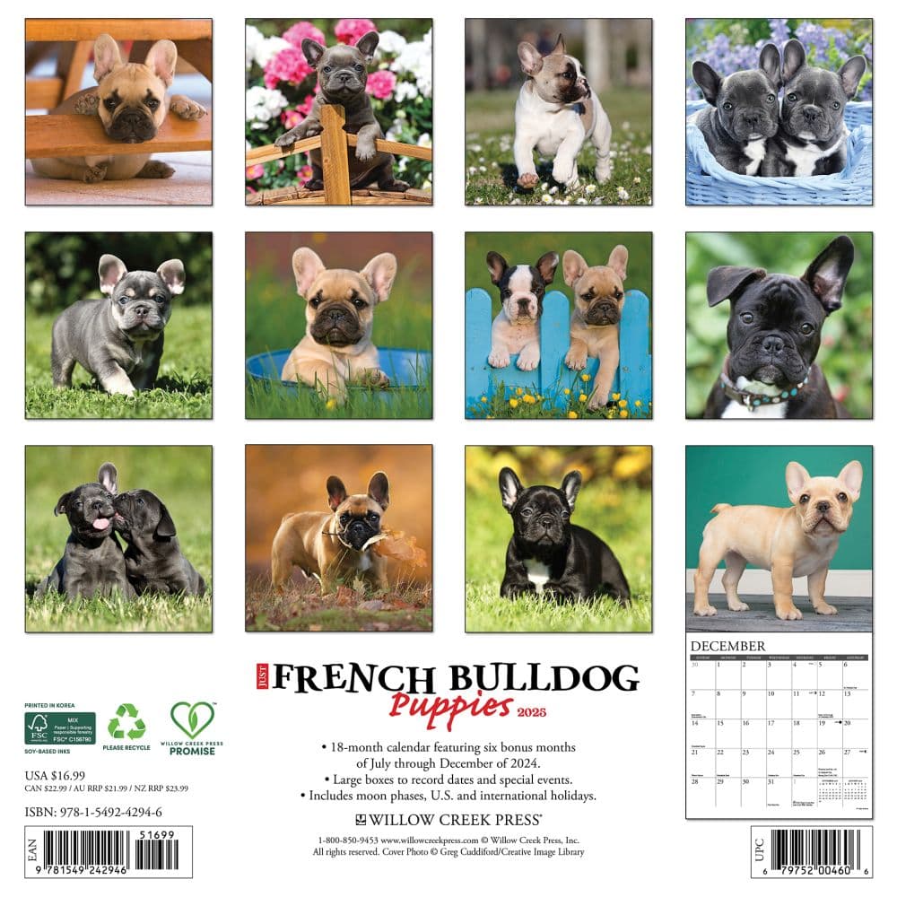 Just French Bulldog Puppies 2025 Wall Calendar First Alternate Image width="1000" height="1000"