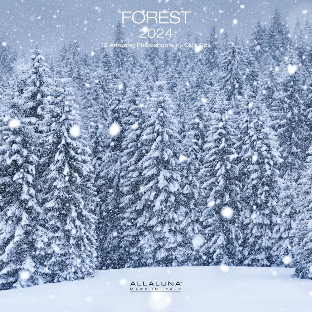 Forest 2024 Wall Calendar