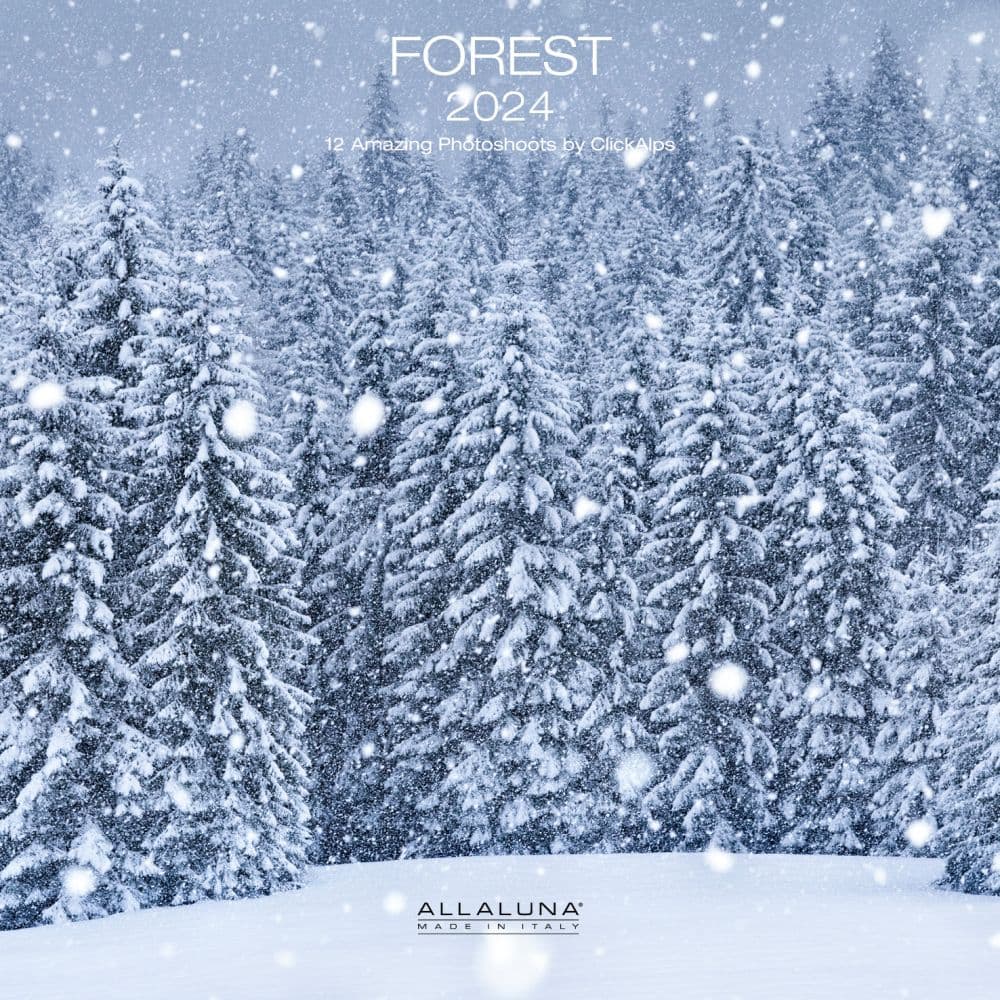 Forest 2024 Wall Calendar Main Product Image width=&quot;1000&quot; height=&quot;1000&quot;