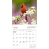 image Audubon Cardinals 2025 Mini Wall Calendar First Alternate Image width="1000" height="1000"