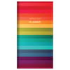 image Rainbow Stripe 2yr 2024 Pocket Planner Main Image