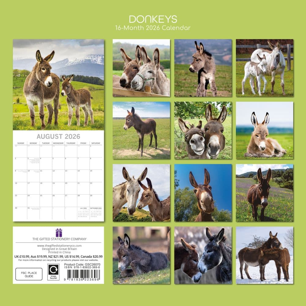 Donkeys 2026 Wall Calendar First Alternate Image