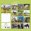 image Donkeys 2026 Wall Calendar First Alternate Image