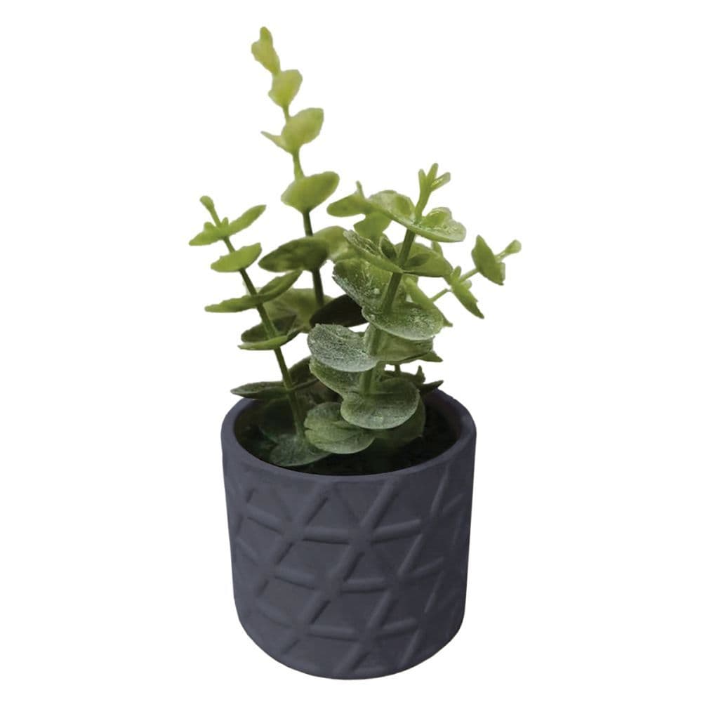 Charcoal Faux Succulent