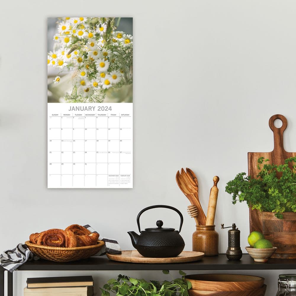 House Plants 2024 Wall Calendar Alternate Image 4