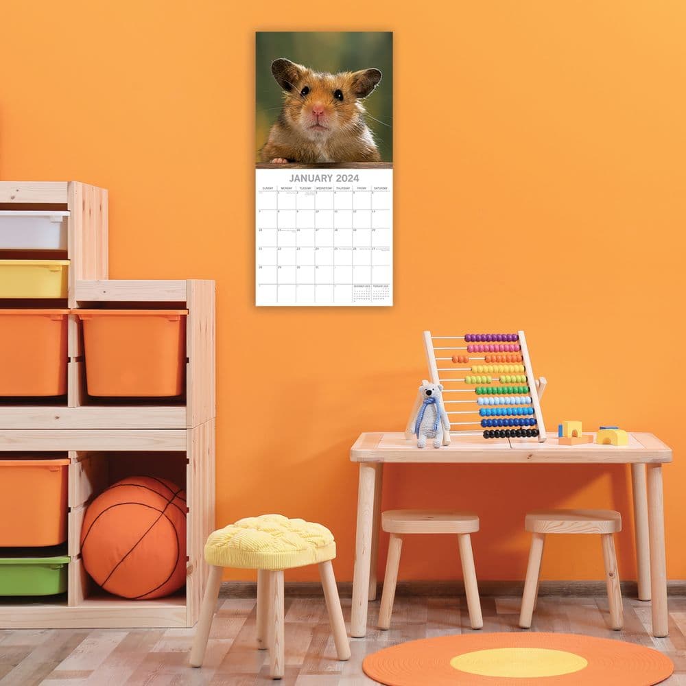 Hamsters 2024 Wall Calendar