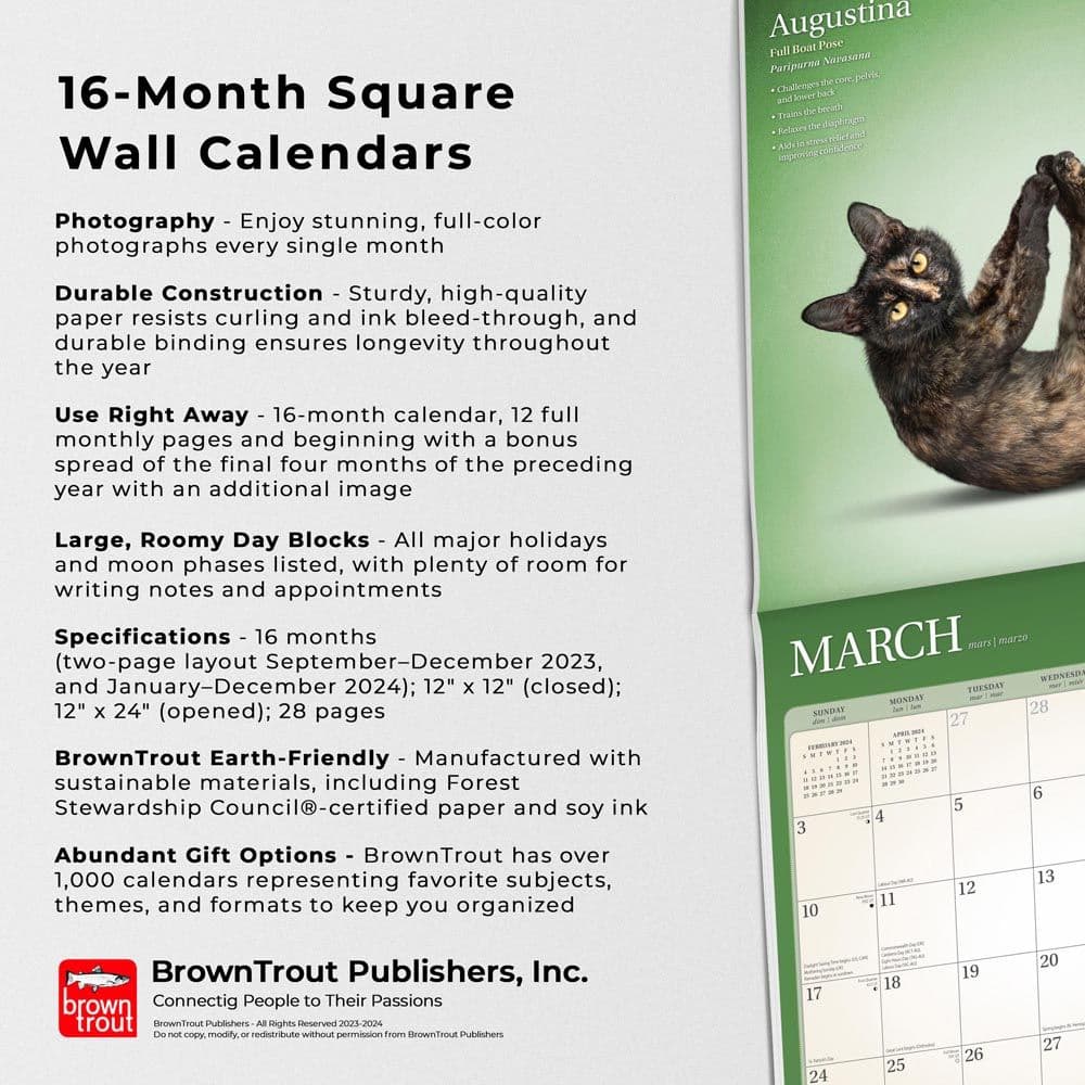 Yoga Cats 2024 Wall Calendar Fourth Alternate Image width=&quot;1000&quot; height=&quot;1000&quot;