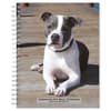 image American Pit Bull Terriers 2024 Planner Main Product Image width=&quot;1000&quot; height=&quot;1000&quot;
