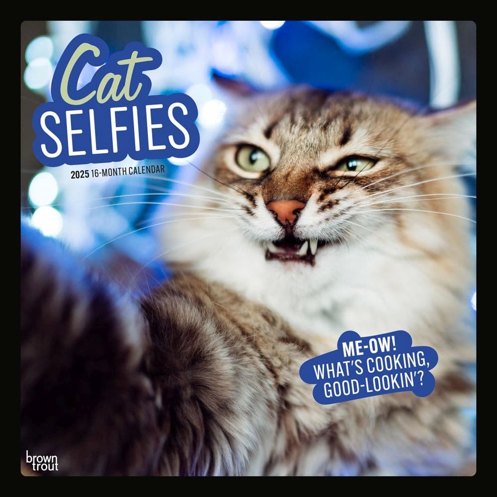 Cat Selfies 2025 Wall Calendar Main Product Image width=&quot;1000&quot; height=&quot;1000&quot;