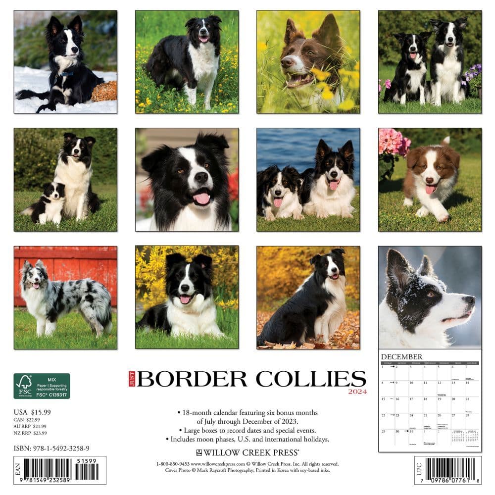 Just Border Collies 2024 Wall Calendar Calendars Com   0239f903 7f68 4233 A54c 9513e62f5158