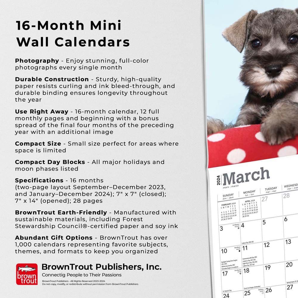 Schnauzer Puppies 2024 Mini Wall Calendar Alternate Image 4