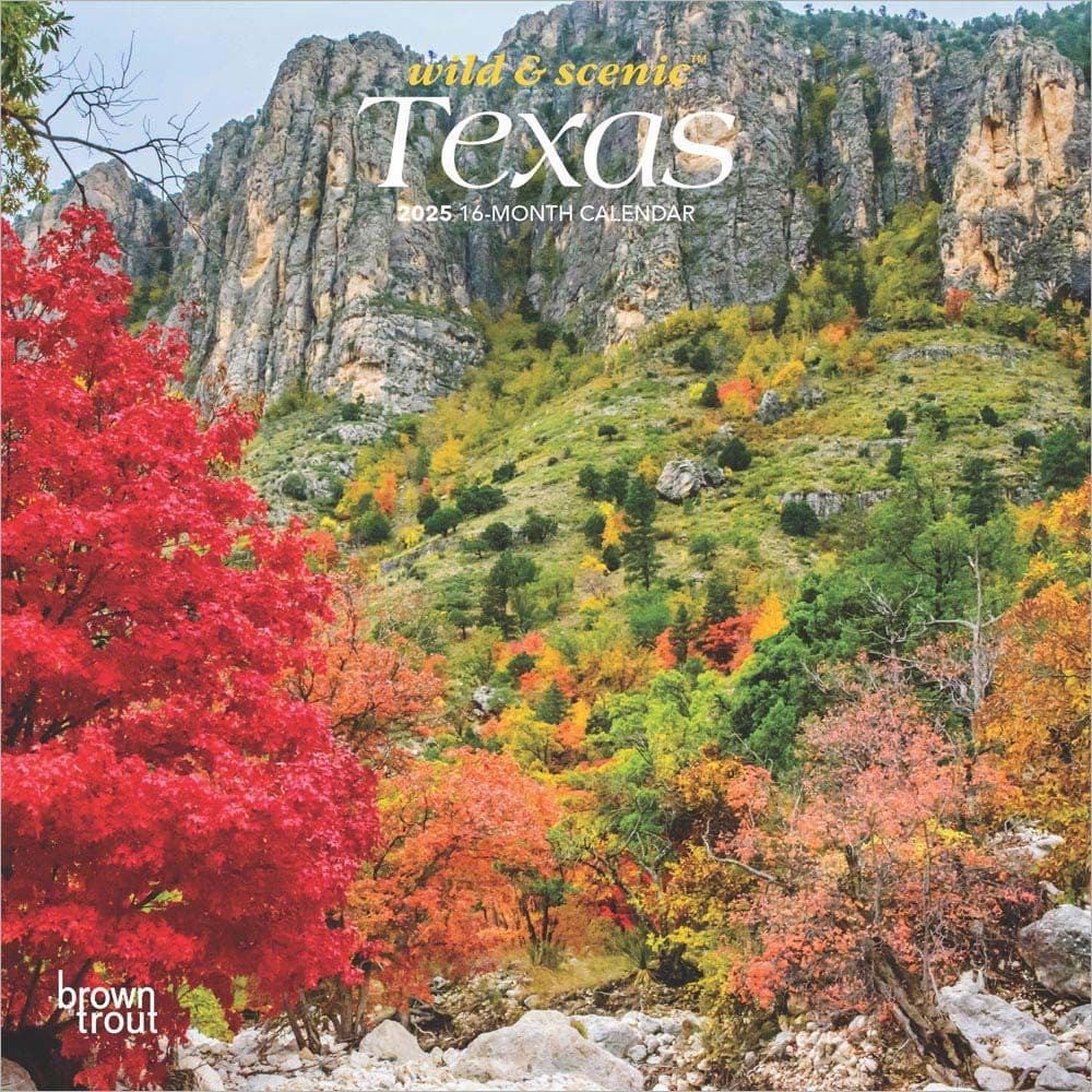 image Texas 2025 Mini Wall Calendar Main Image