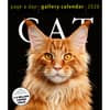 image Cat Gallery 2026 Desk Calendar Sixth Alternate Image