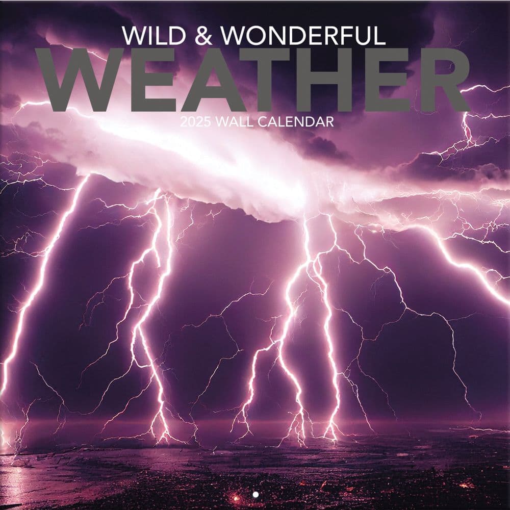 Wild and Wonderful Weather 2025 Wall Calendar_Main Image