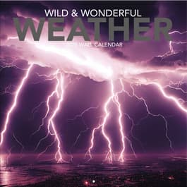 Wild and Wonderful Weather 2025 Wall Calendar