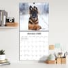 image Playful Puppies 2026 Wall Calendar_ALT4