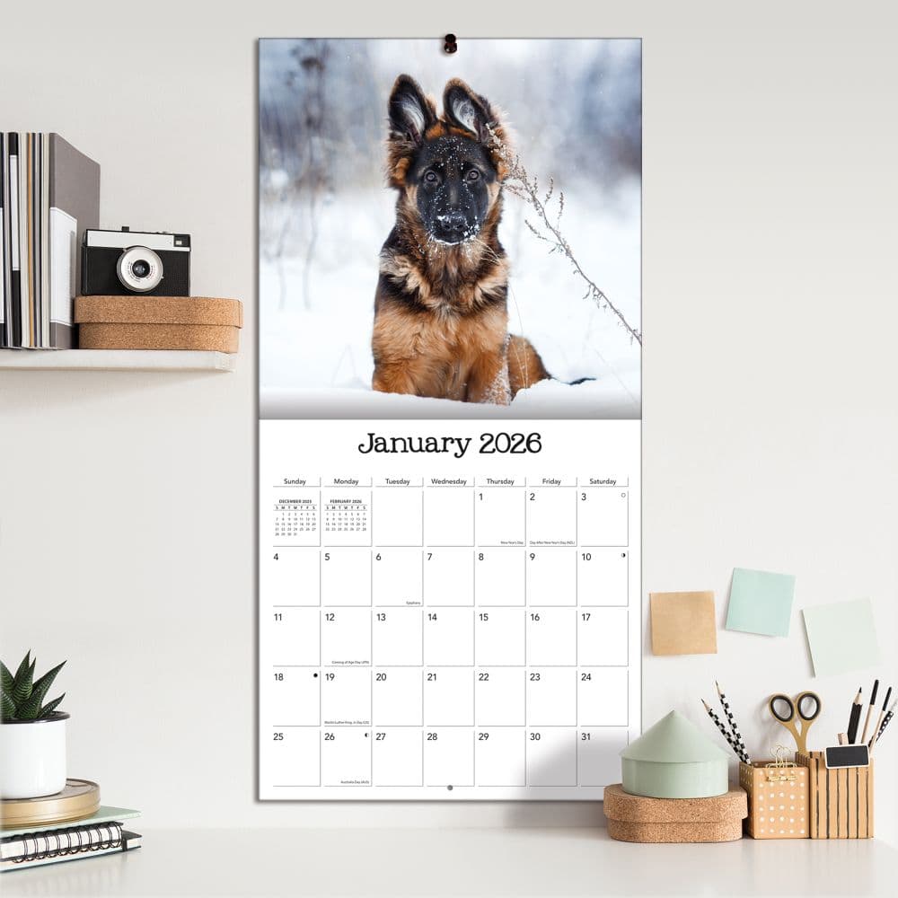 Playful Puppies 2026 Wall Calendar_ALT4