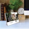 image Cats What Cats Teach Us 2026 Desk Calendar Second Alternate Image