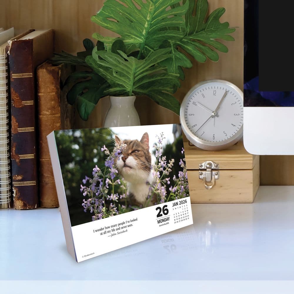 Cats What Cats Teach Us 2026 Desk Calendar Second Alternate Image