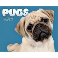 image Pugs 2027 Desk Calendar Main Product Image