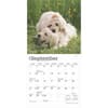 image Golden Retriever Puppies 2025 Mini Wall Calendar