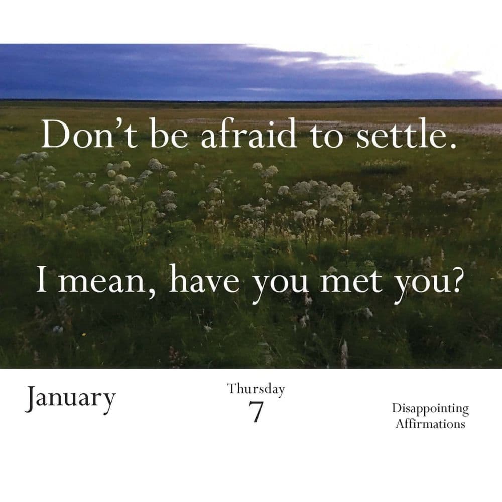 Disappointing Affirmations 2027 Desk Calendar Seventh Alternate Image