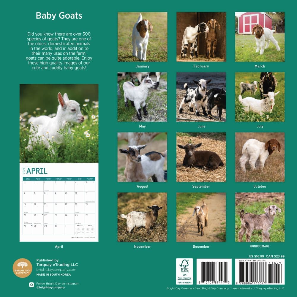 Baby Goats 2025 Wall Calendar