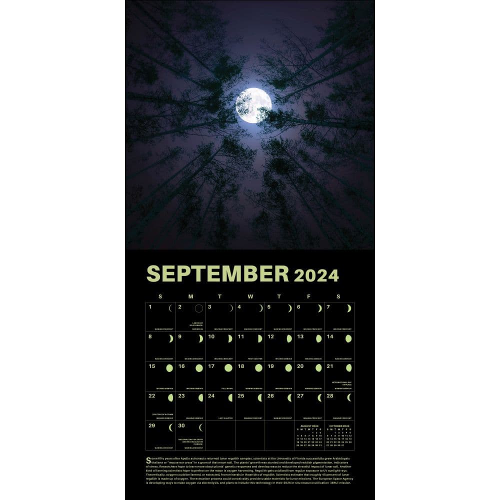 Lunar Year 2024 Wall Calendar Interior Image 3