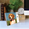 image Beagles Just 2025 Desk Calendar Third Alternate Image