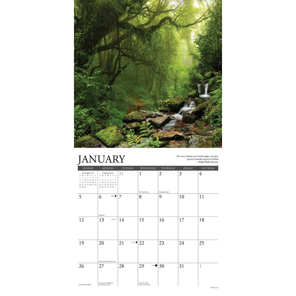 Heaven Has a Forest 2025 Wall Calendar Second Alternate Image width="1000" height="1000"