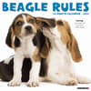 image Beagle Rules 2025 Wall Calendar Main Image